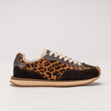 N.1 Faune Brown
