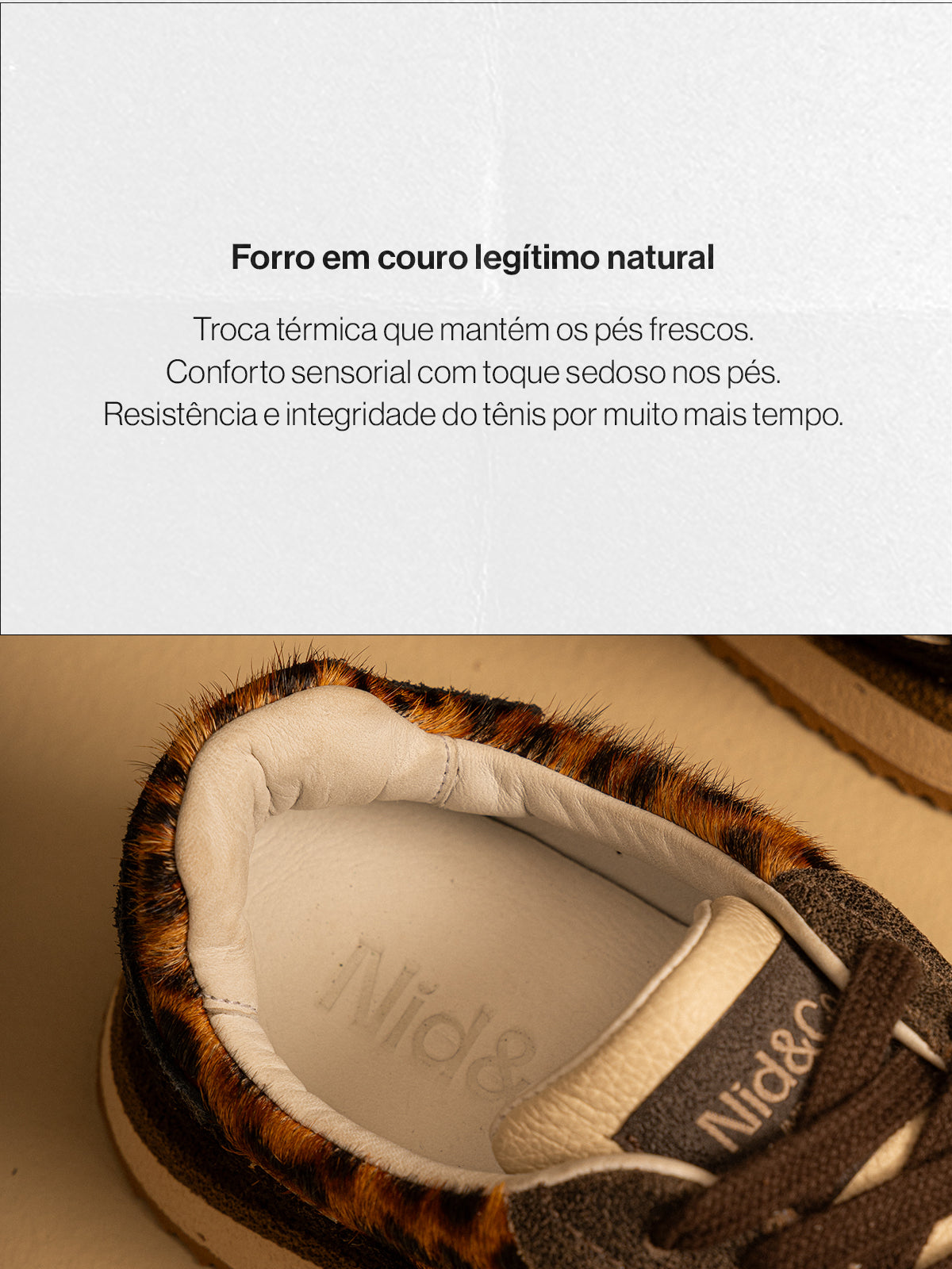Imagem do slide