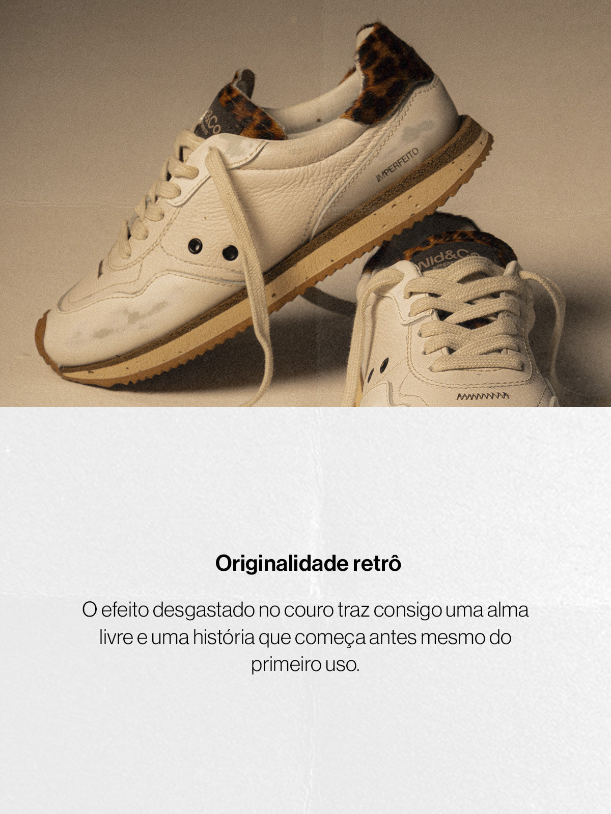 Imagem do slide